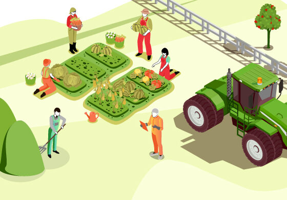 Uso in sicurezza dei prodotti fitosanitari schede tecnico-informative